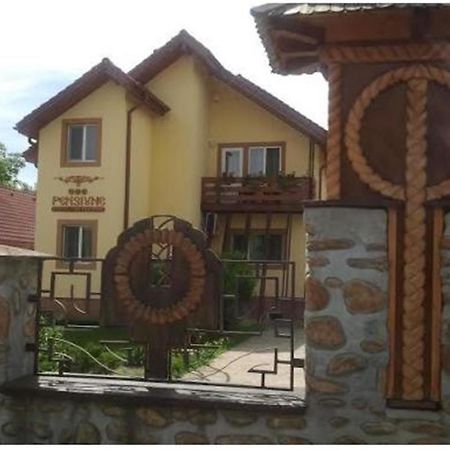 Pensiunea Pentru Tine Prietene Arcani Habitación foto