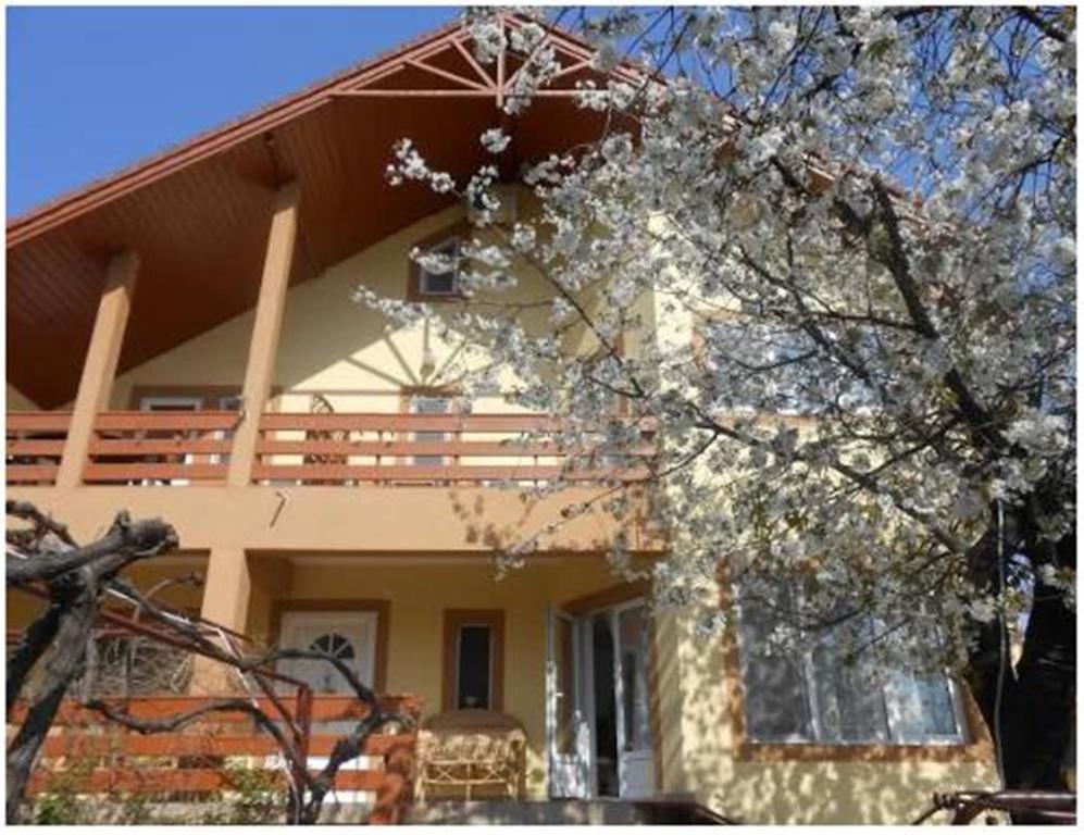 Pensiunea Pentru Tine Prietene Arcani Habitación foto