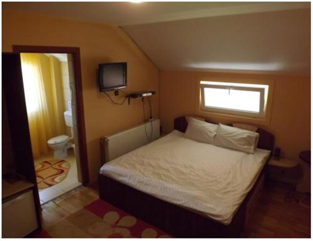 Pensiunea Pentru Tine Prietene Arcani Habitación foto