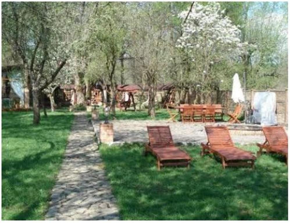 Pensiunea Pentru Tine Prietene Arcani Habitación foto